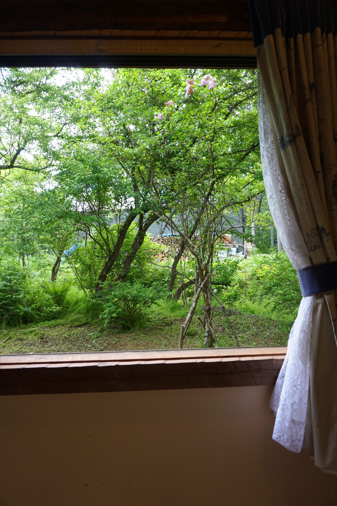 寝室からの眺め