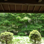 和室前のお庭
