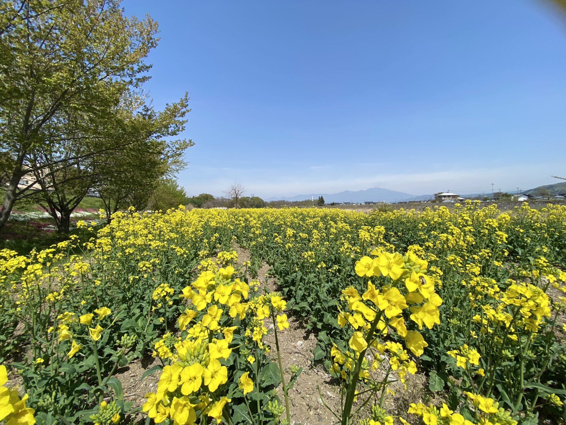 美しい佐久の風景 VOl.２（４月）