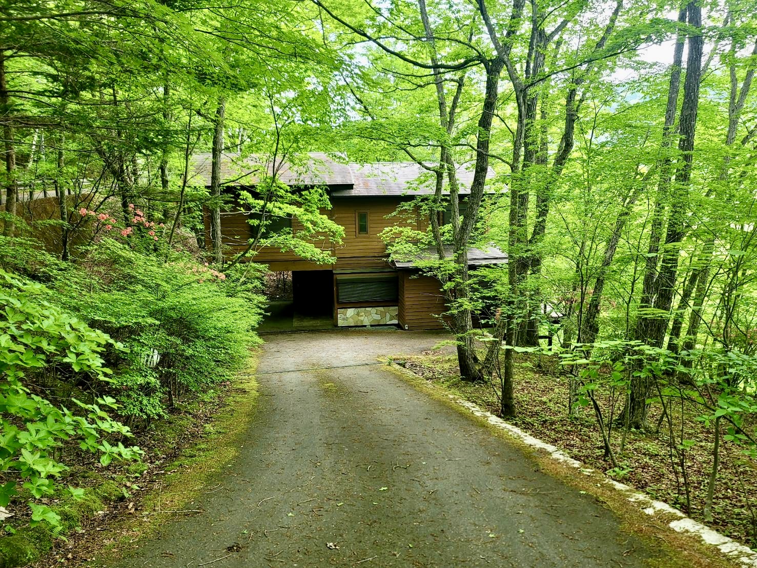 軽井沢町　別荘をリノベーション〜緑の森に佇む癒しの空間〜