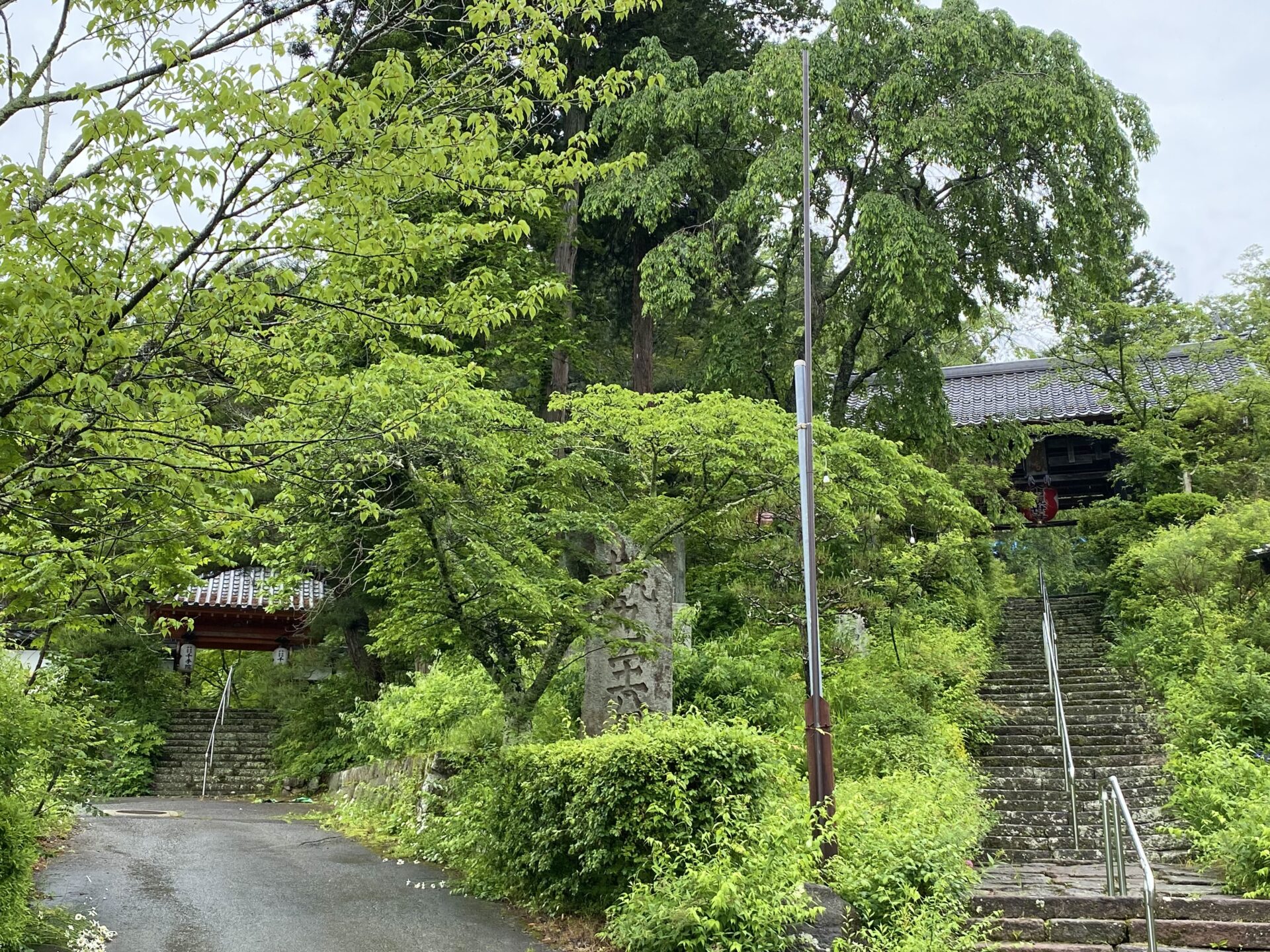 代表 依田利雄の日々是好日(^-^)/③