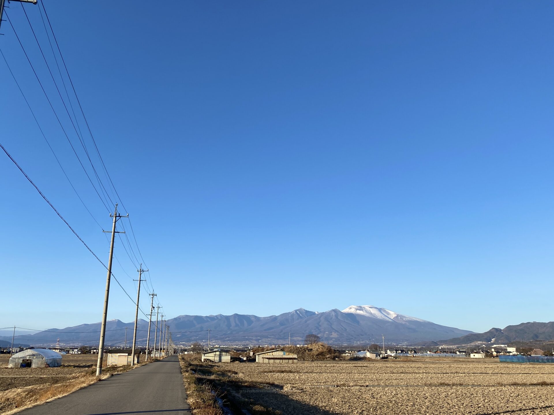 新年のご挨拶